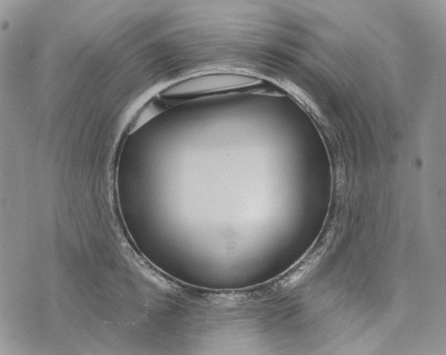 X0000072950854200608111624