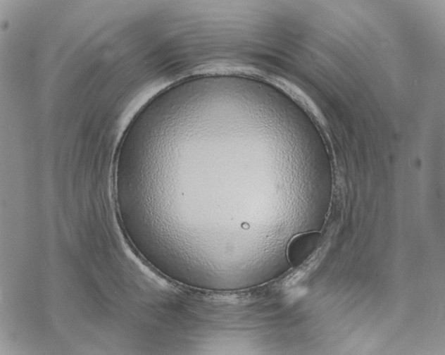 X0000072950855200608111624