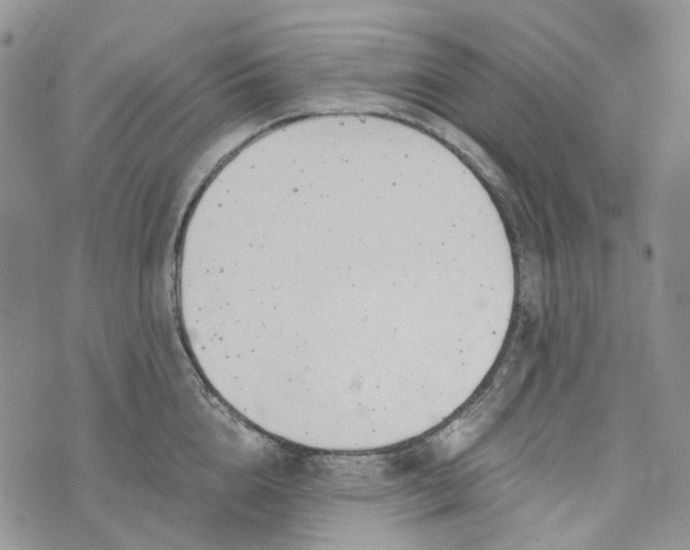 X0000072950856200608111624