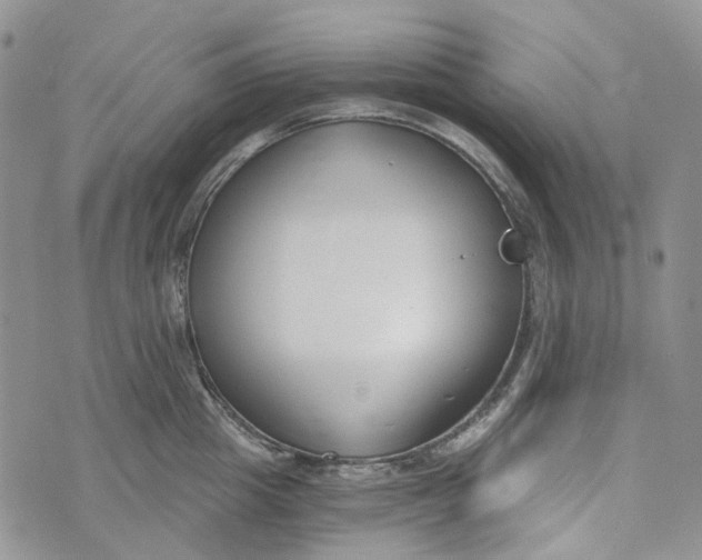 X0000072950857200608111624