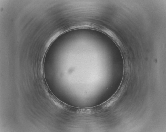 X0000072950858200608111624