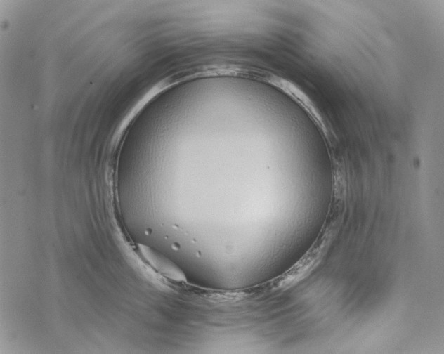 X0000072950859200608111624