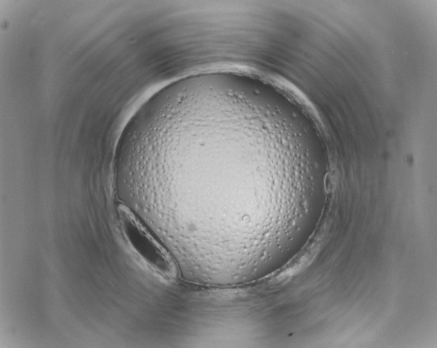 X0000072950860200608111624