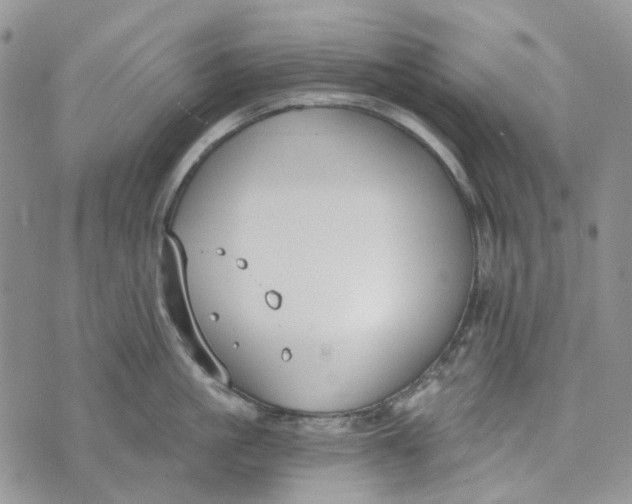 X0000072950861200608111624