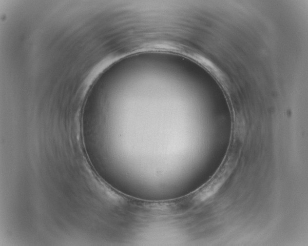 X0000072950862200608111624