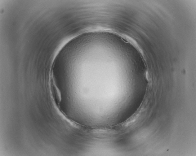 X0000072950863200608111624