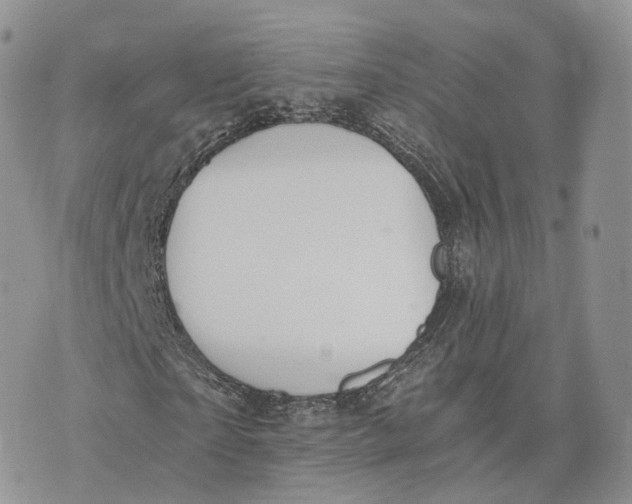 X0000072950865200608111623