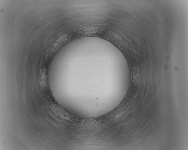 X0000072950866200608111623