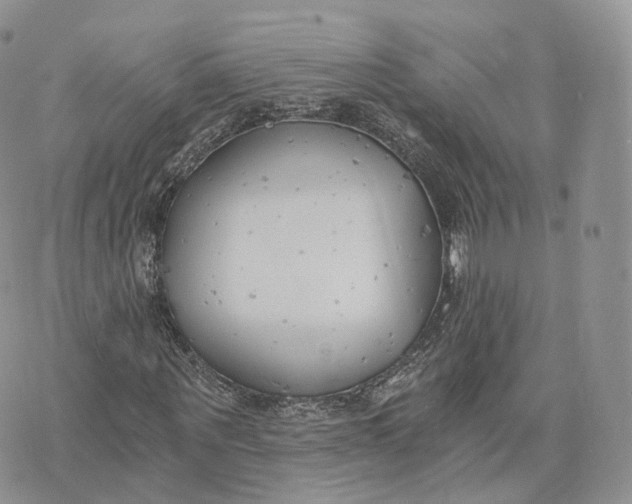 X0000072950867200608111623