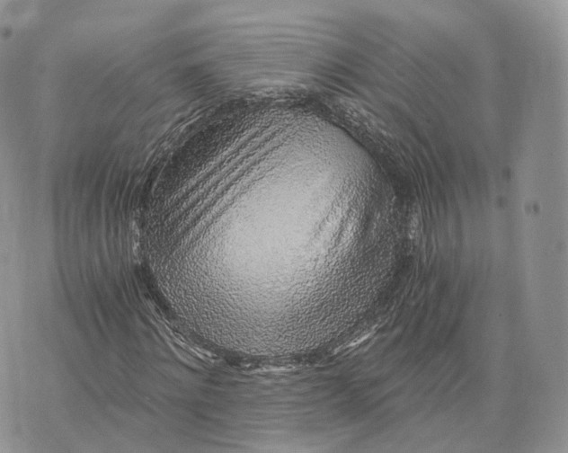 X0000072950868200608111623