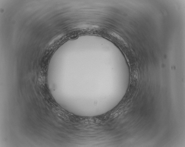 X0000072950869200608111623