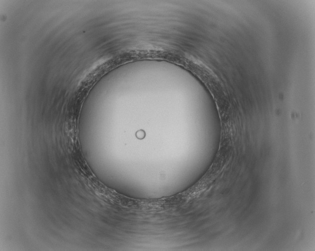 X0000072950870200608111623