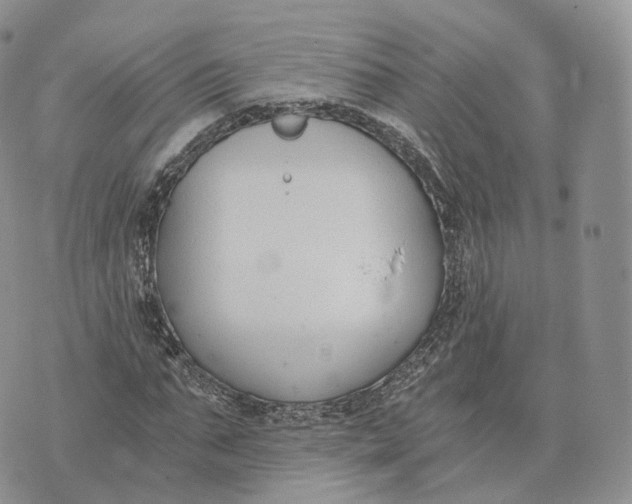 X0000072950871200608111623