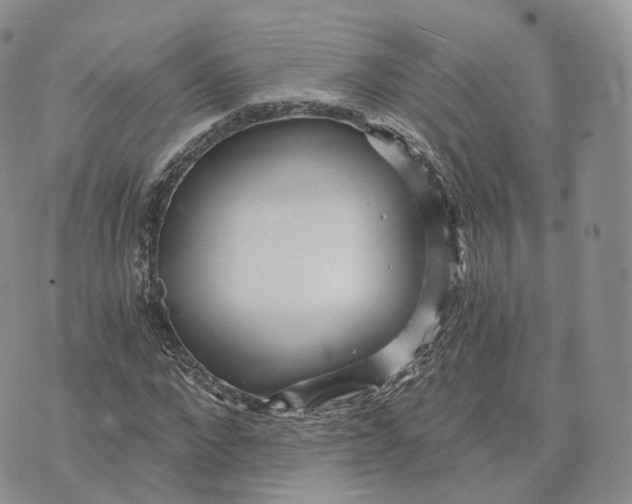 X0000072950872200608111623