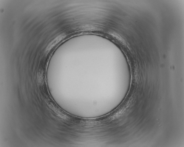 X0000072950873200608111623