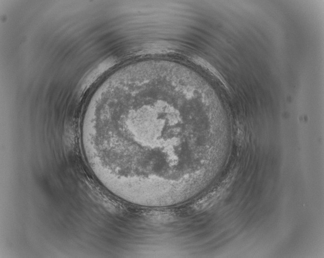 X0000072950874200608111623