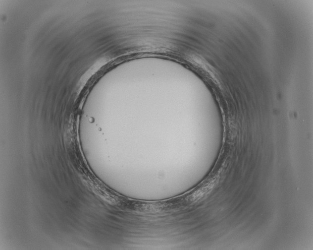 X0000072950875200608111623