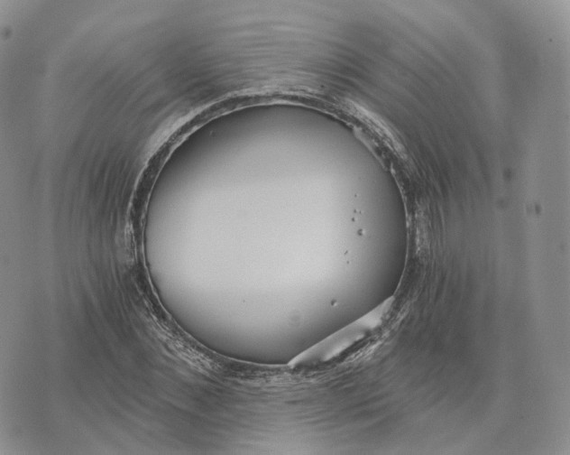 X0000072950876200608111623