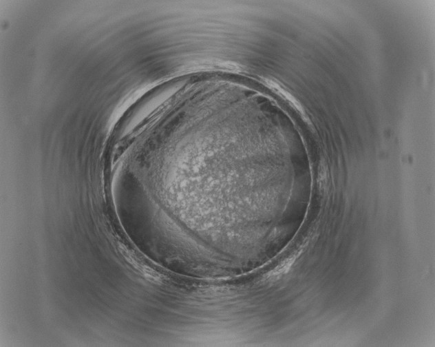 X0000072950877200608111623