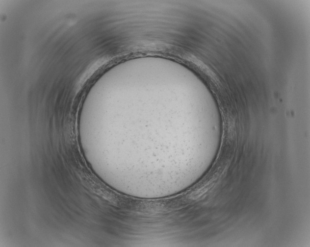 X0000072950878200608111623