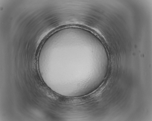 X0000072950879200608111623