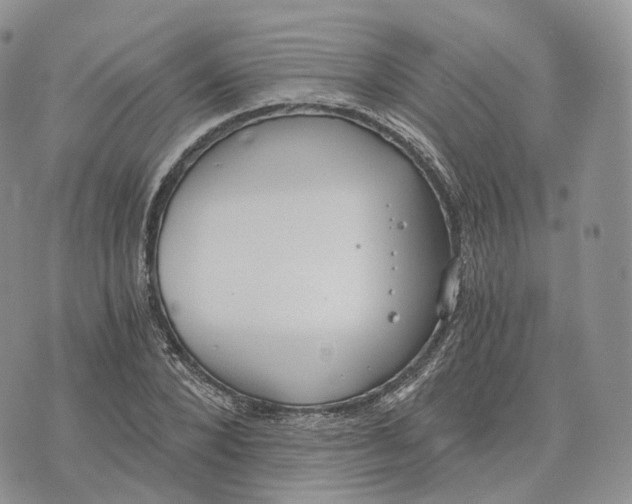 X0000072950880200608111623