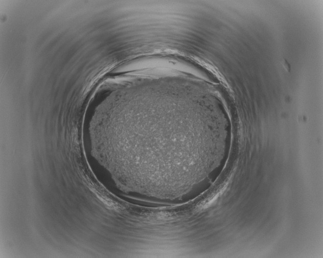 X0000072950881200608111623