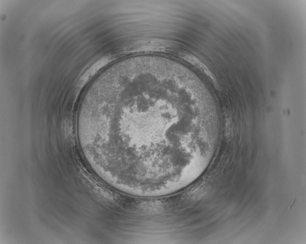 X0000072950882200608111623