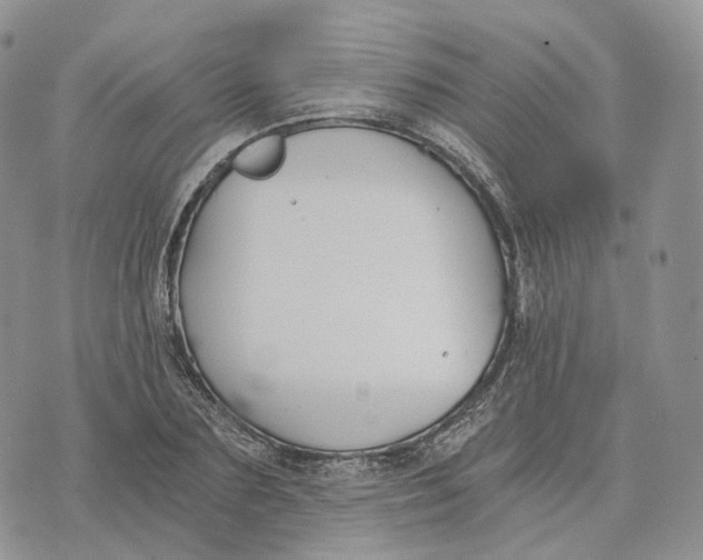 X0000072950883200608111623