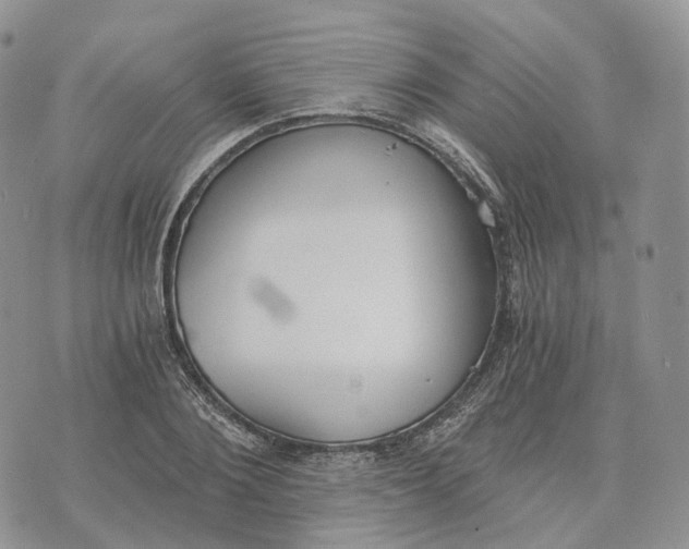 X0000072950884200608111623