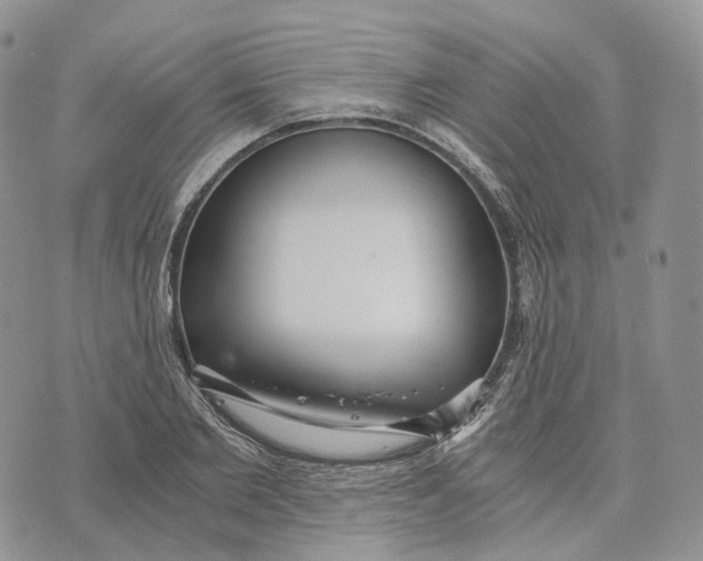 X0000072950885200608111623