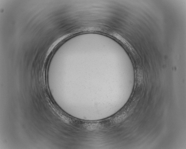 X0000072950886200608111623