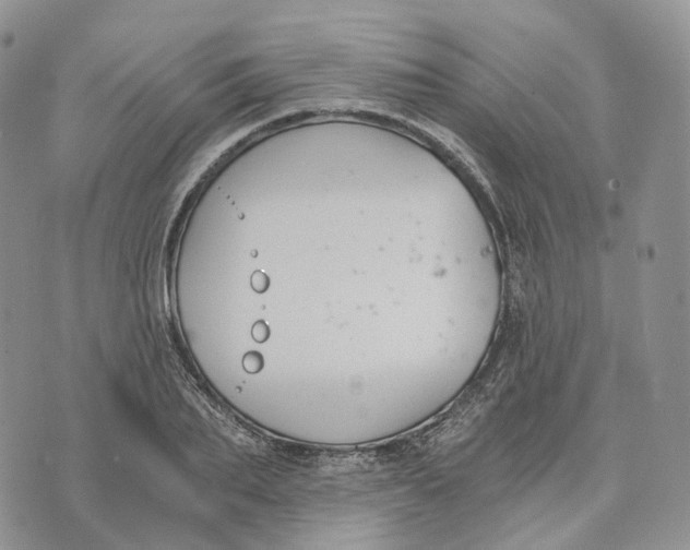 X0000072950887200608111623