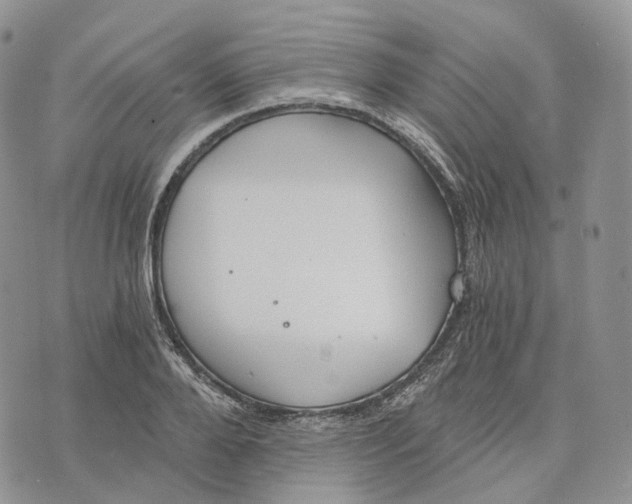 X0000072950888200608111623