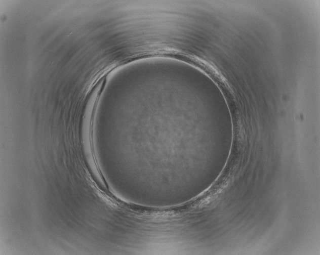 X0000072950889200608111623