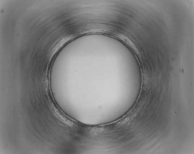 X0000072950890200608111623