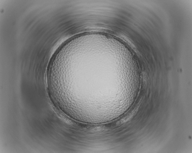 X0000072950891200608111623