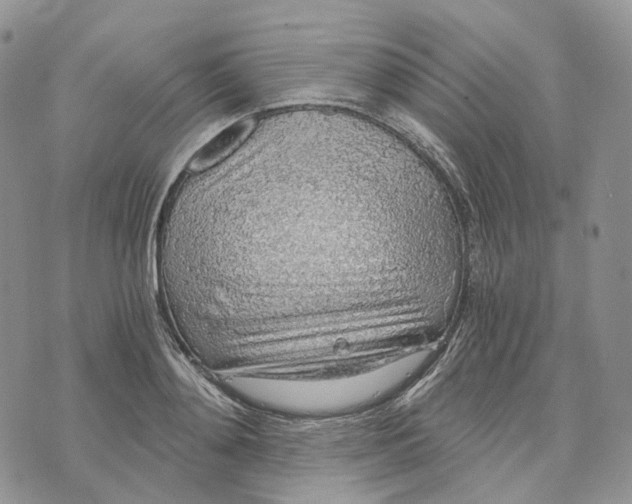 X0000072950892200608111623