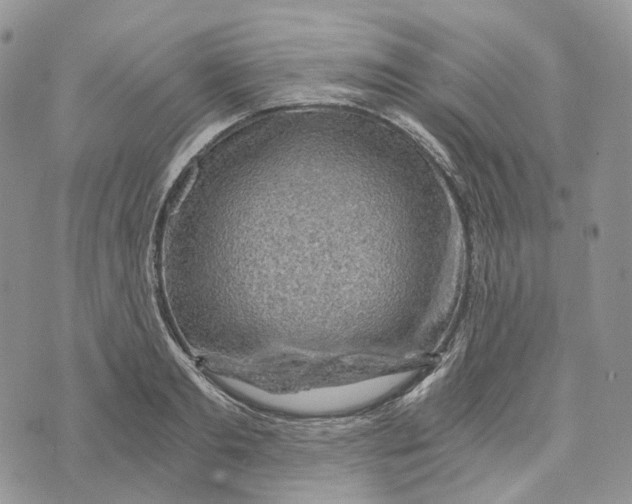 X0000072950893200608111623