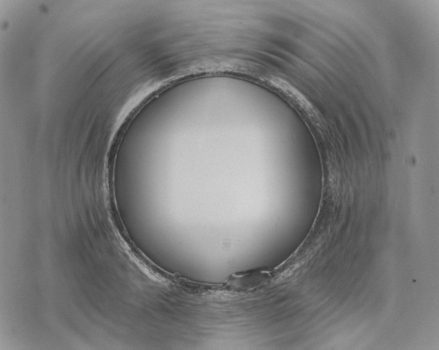 X0000072950894200608111623