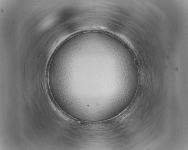 X0000072950895200608111623