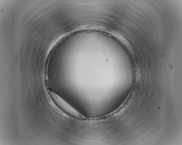 X0000072950896200608111623