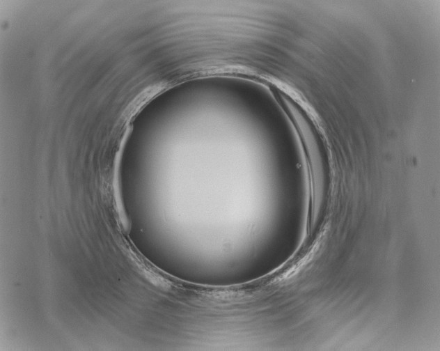 X0000072950897200608111623