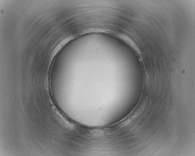 X0000072950898200608111623