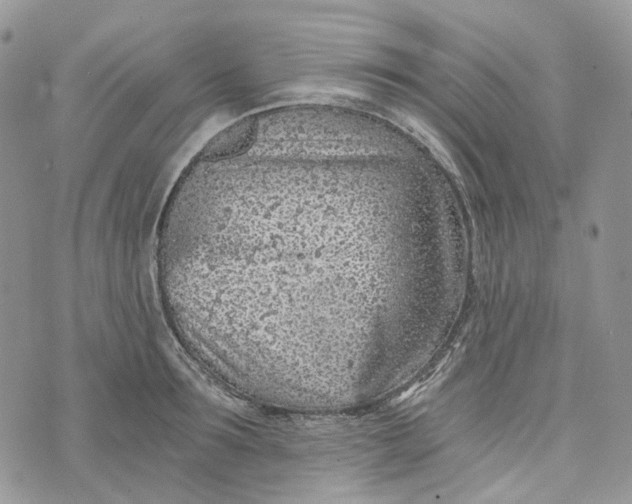 X0000072950899200608111623