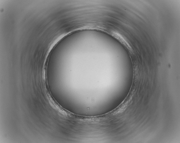 X0000072950900200608111623