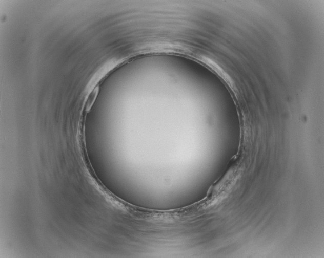 X0000072950901200608111623