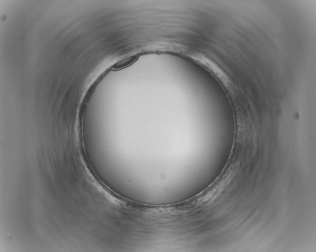 X0000072950902200608111623