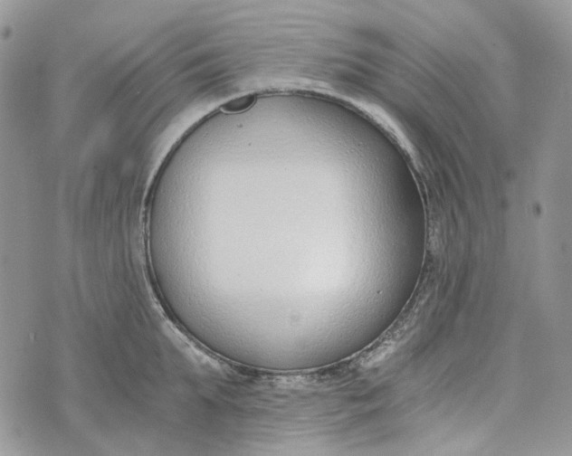 X0000072950903200608111623