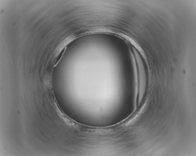 X0000072950905200608111622